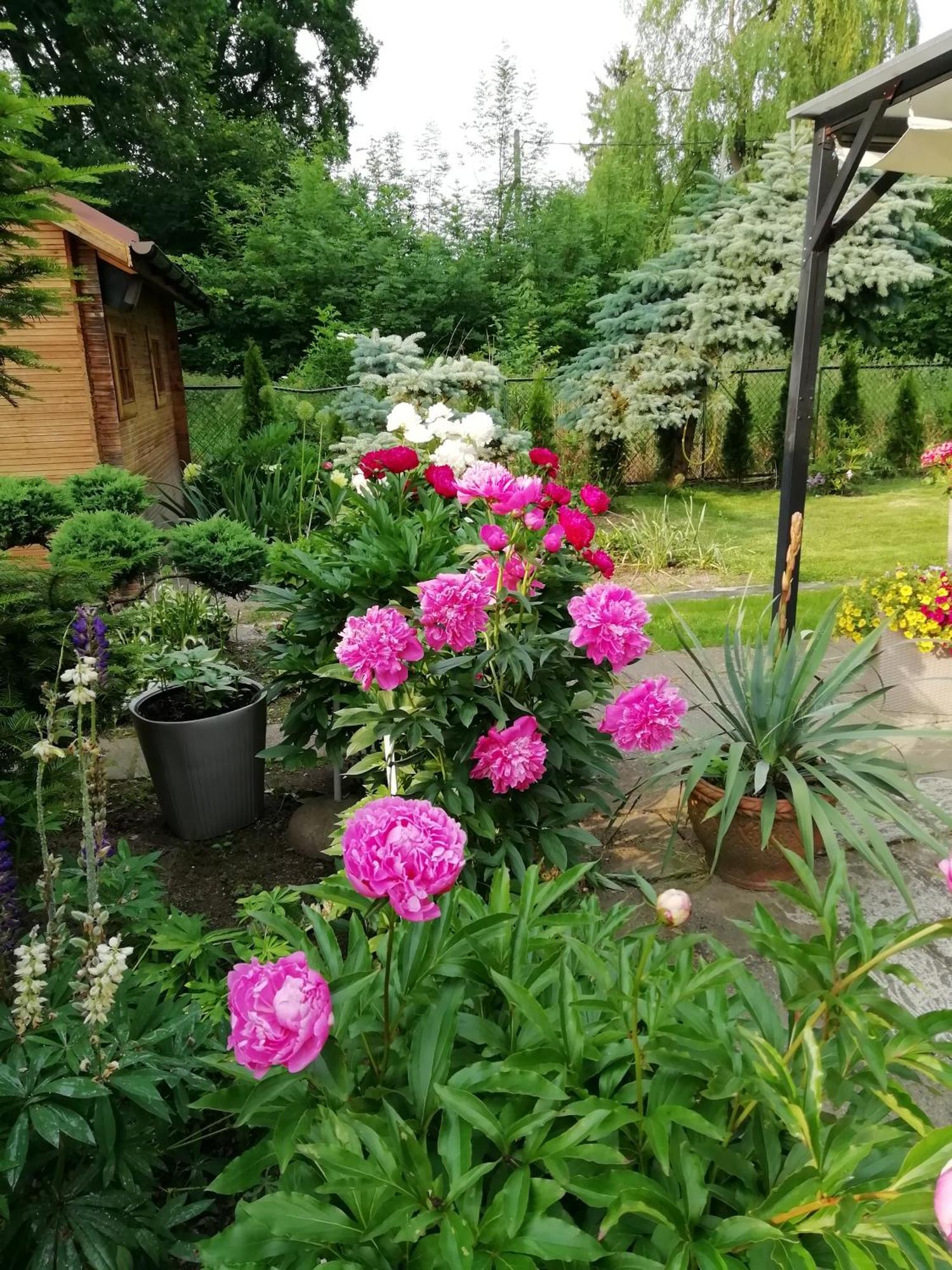 Apartament Wlodek Jelenia Góra Kültér fotó