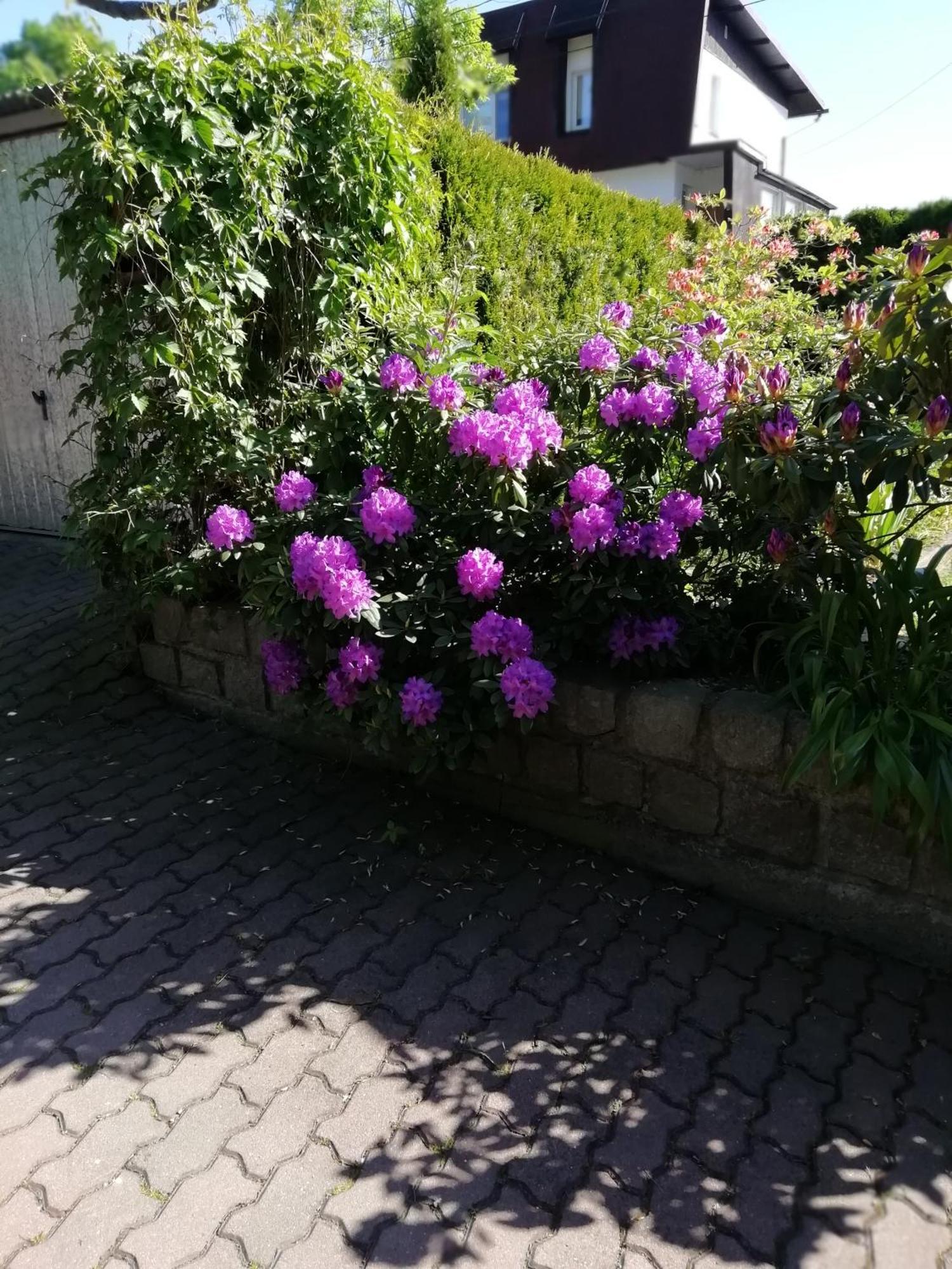 Apartament Wlodek Jelenia Góra Kültér fotó