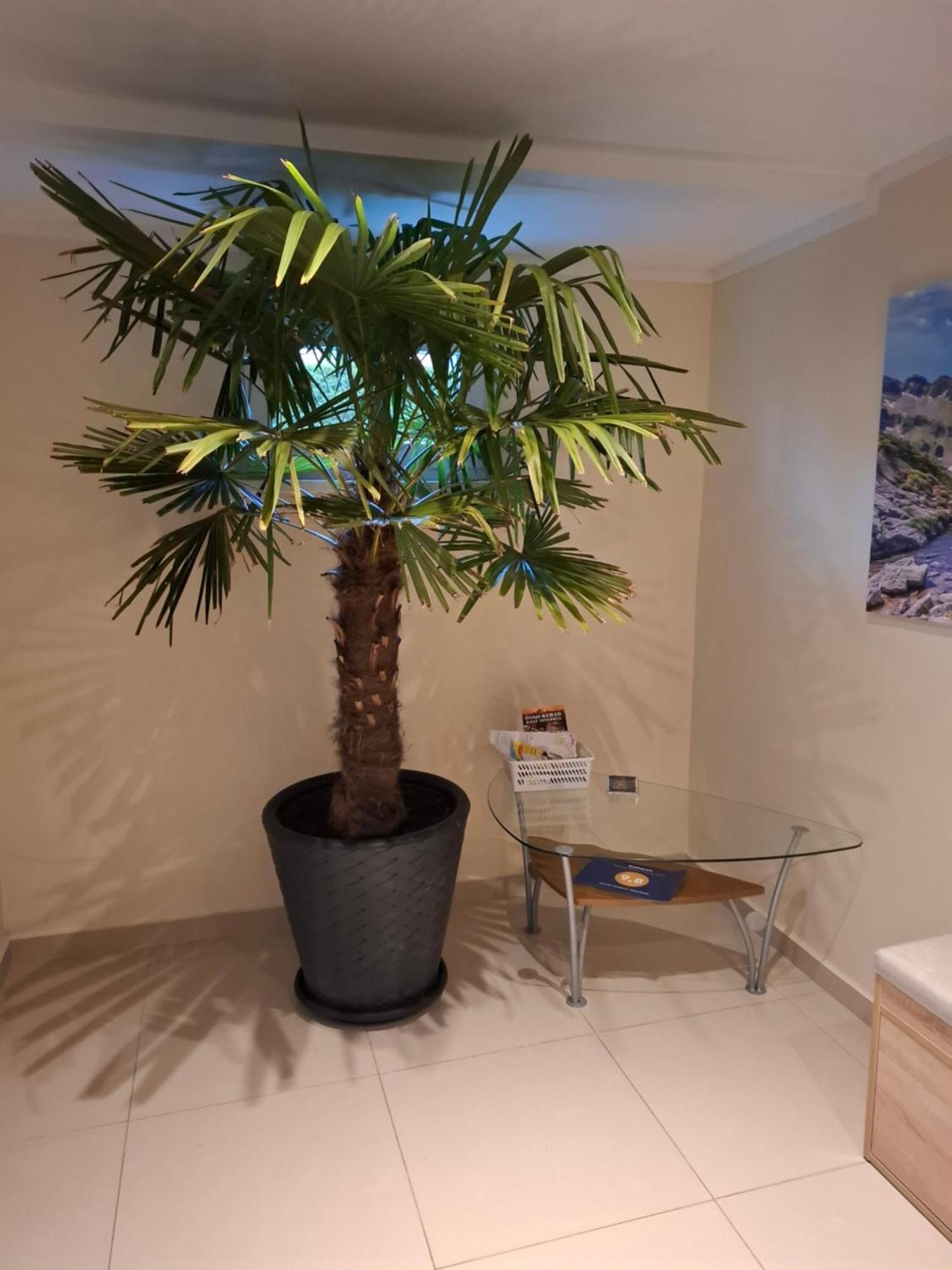 Apartament Wlodek Jelenia Góra Kültér fotó